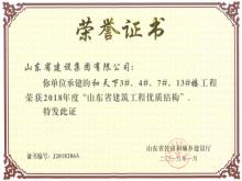 和天下3#、4#、7#、13#樓獲2018年度“山東省建筑工程優(yōu)質(zhì)結(jié)構(gòu)”